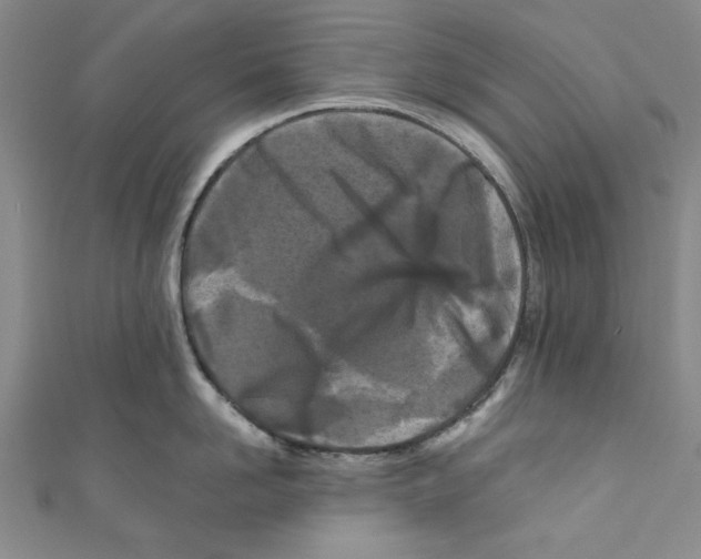 X0000110950958200907171626