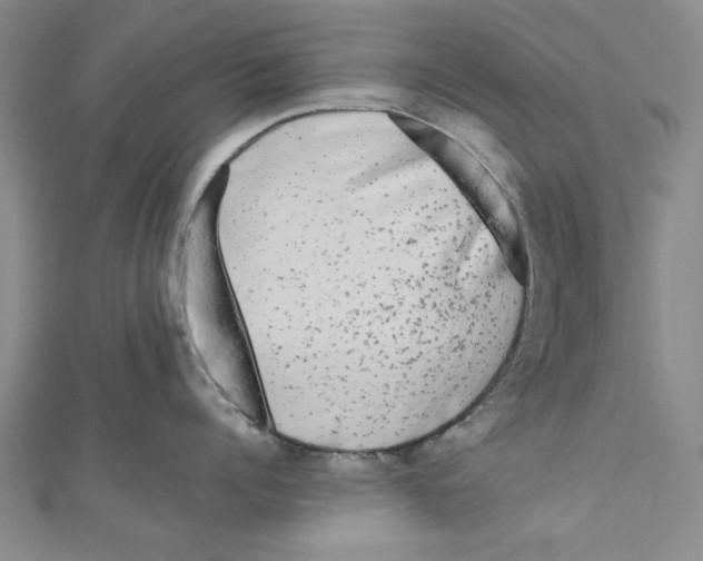 X0000110950960200907171626