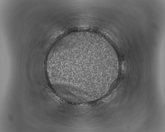 X0000110950961200907171625