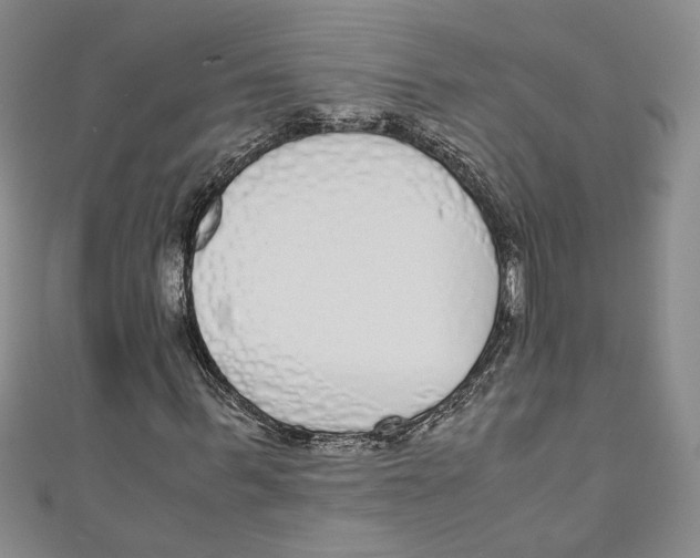 X0000110950963200907171625