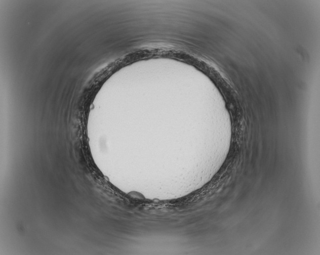 X0000110950967200907171625