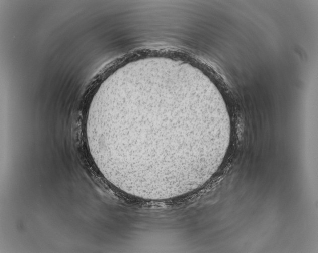 X0000110950968200907171625