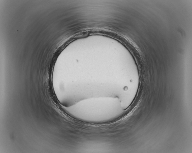 X0000110950969200907171625