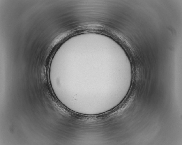 X0000110950970200907171625