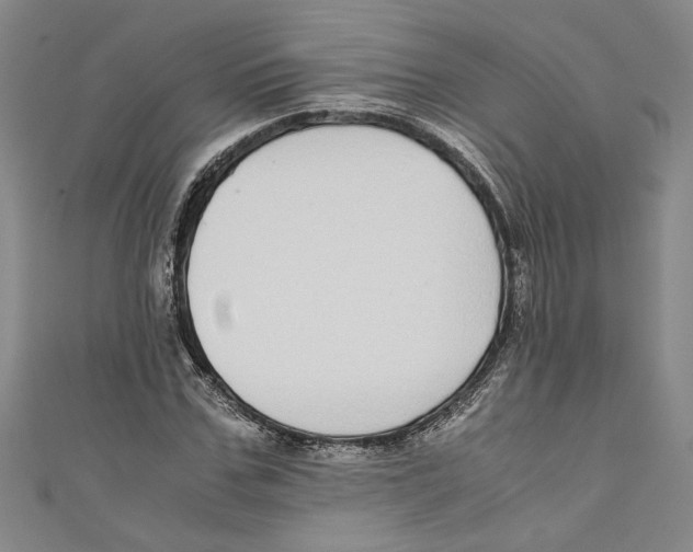 X0000110950971200907171625