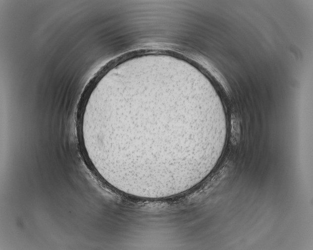 X0000110950972200907171625