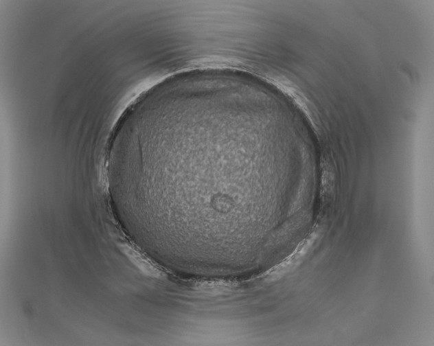 X0000110950973200907171625