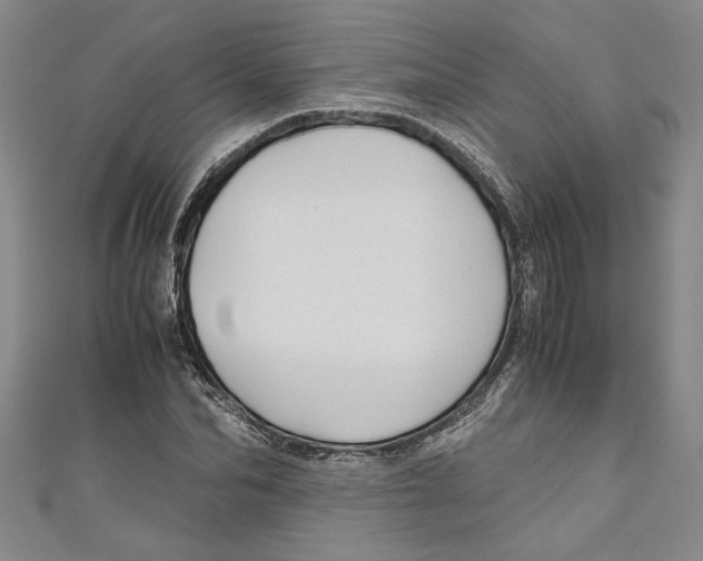 X0000110950974200907171625
