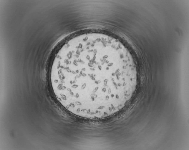 X0000110950975200907171625