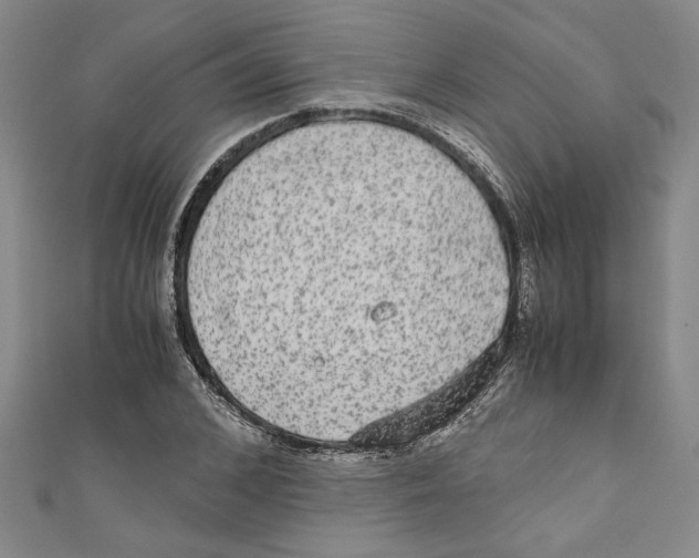 X0000110950976200907171625