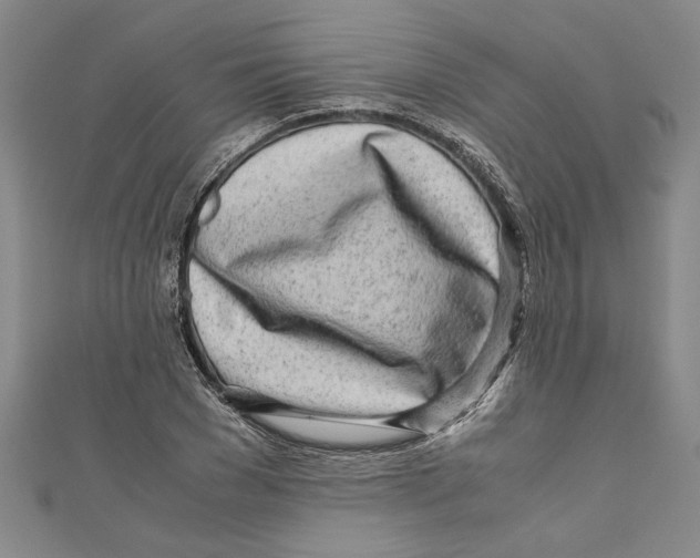 X0000110950977200907171625
