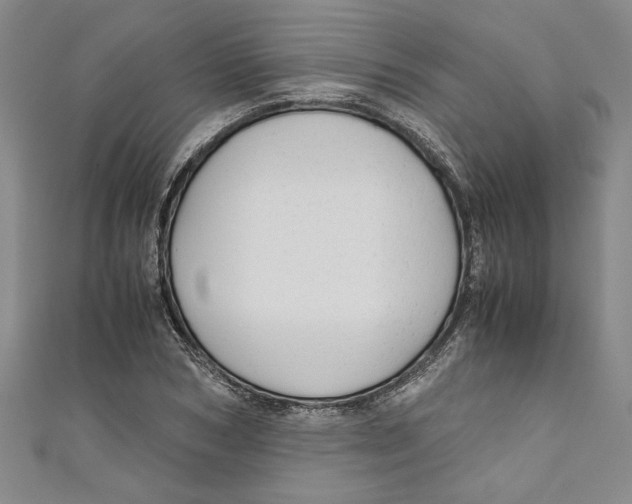 X0000110950978200907171625
