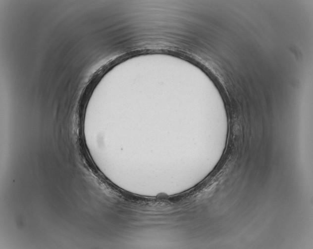 X0000110950979200907171625