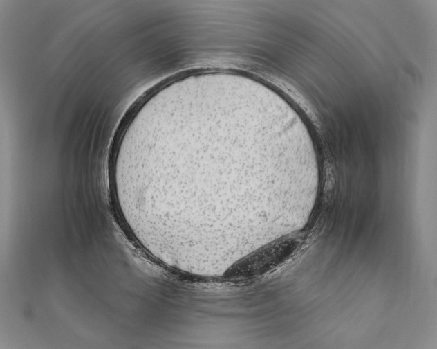 X0000110950980200907171625