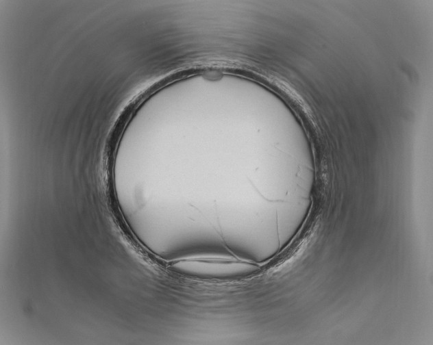 X0000110950981200907171625