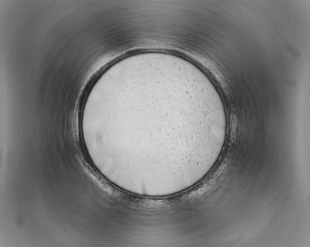 X0000110950982200907171625