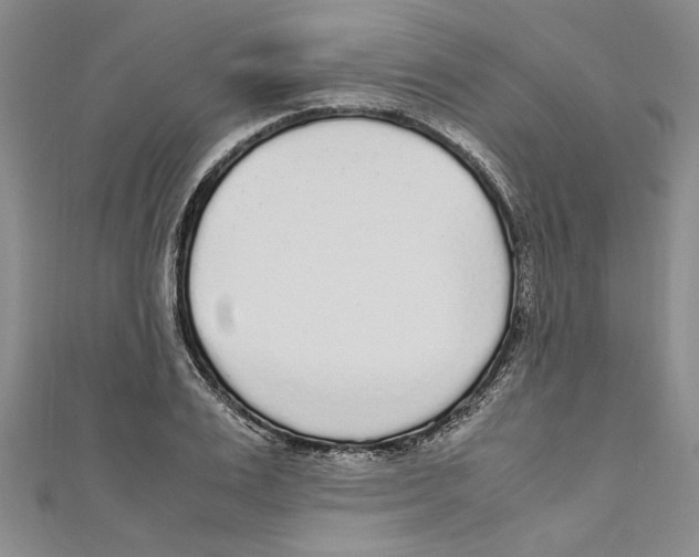 X0000110950983200907171625