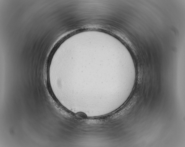 X0000110950984200907171625