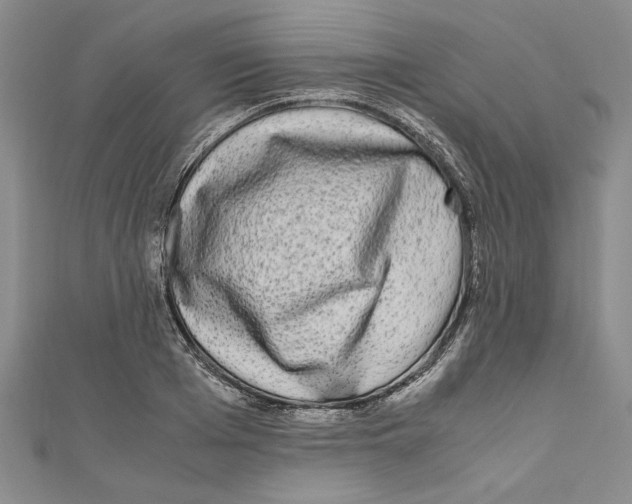 X0000110950985200907171625