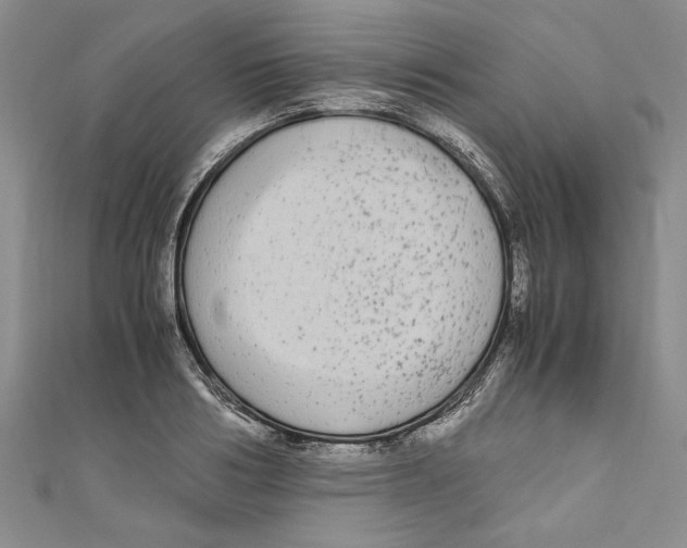 X0000110950986200907171625