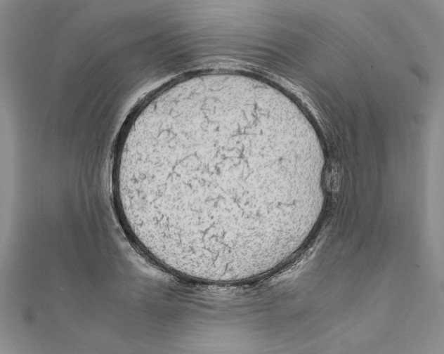 X0000110950987200907171625