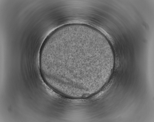 X0000110950988200907171625