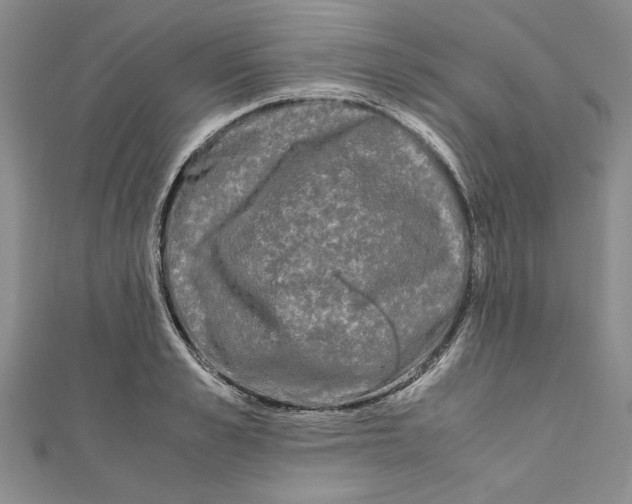 X0000110950989200907171625