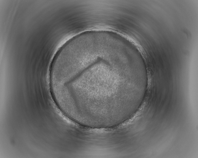 X0000110950990200907171625