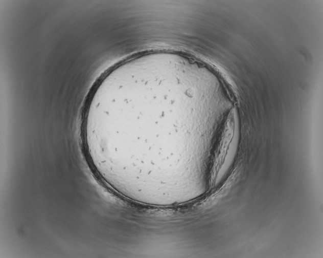 X0000110950991200907171625