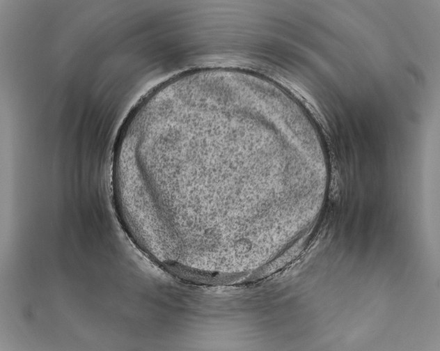 X0000110950992200907171625