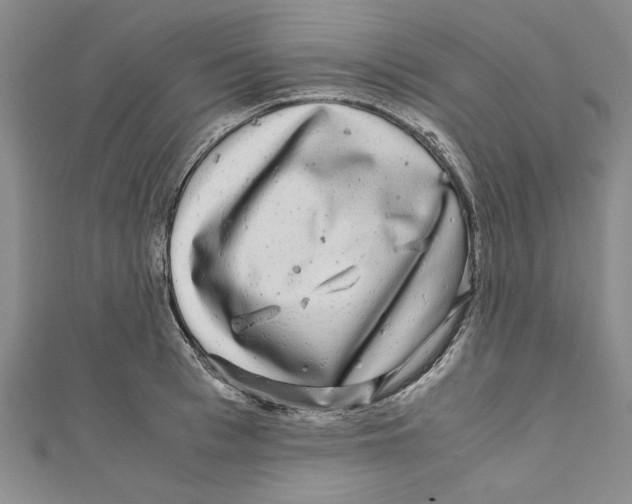 X0000110950993200907171625