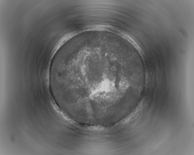 X0000110950994200907171625