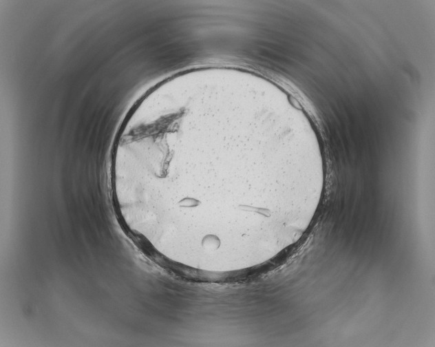 X0000110950996200907171625