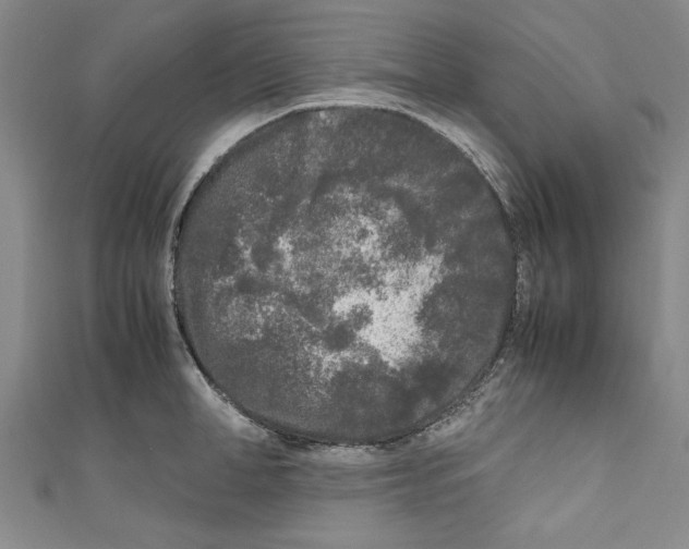 X0000110950998200907171624