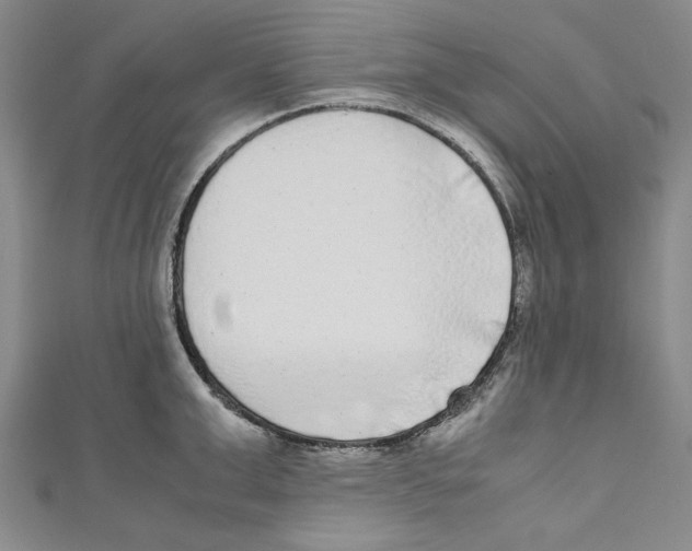 X0000110950999200907171624