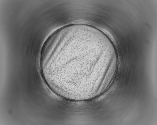 X0000110951000200907171624