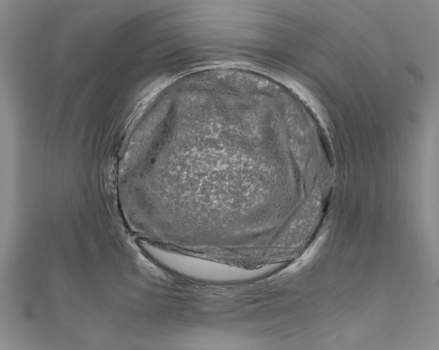 X0000110951001200907171624