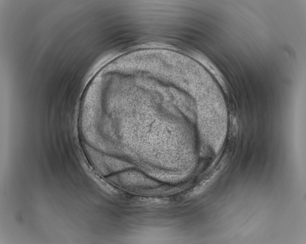 X0000110951002200907171624