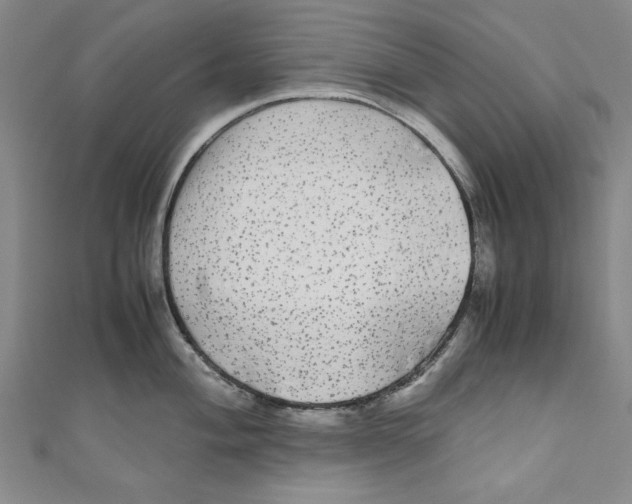 X0000110951004200907171624