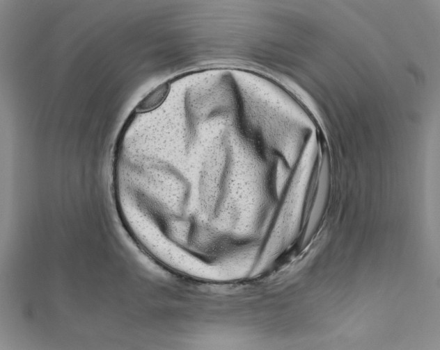 X0000110951005200907171624