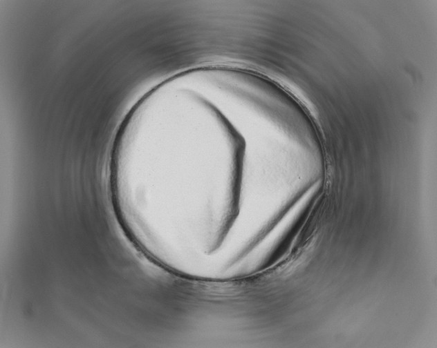 X0000110951007200907171624