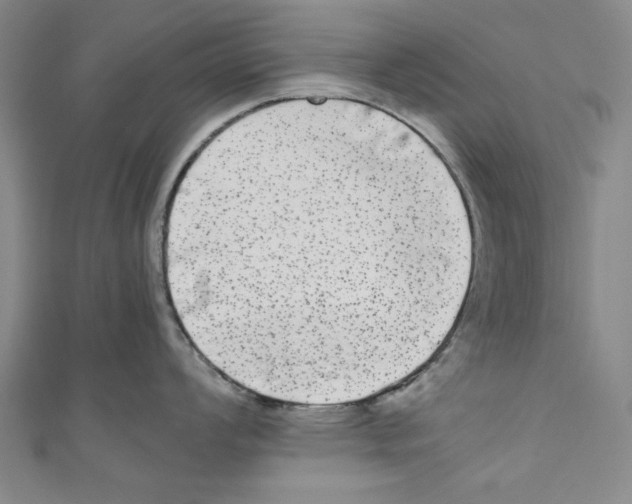 X0000110951008200907171624