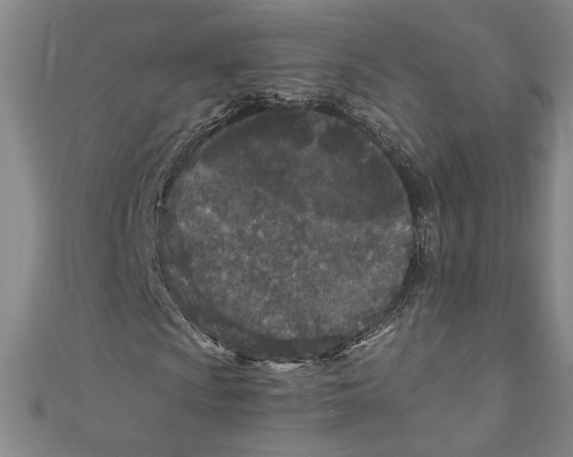 X0000110951009200907171624