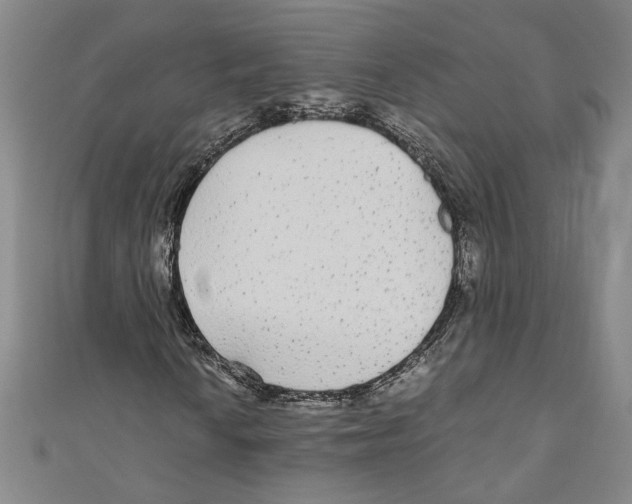 X0000110951010200907171624
