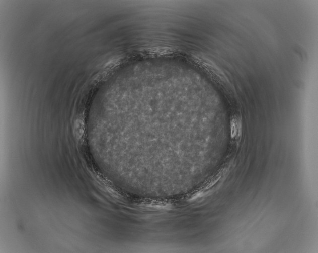 X0000110951011200907171624