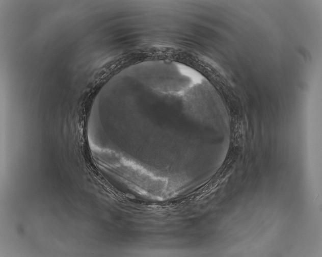 X0000110951013200907171624