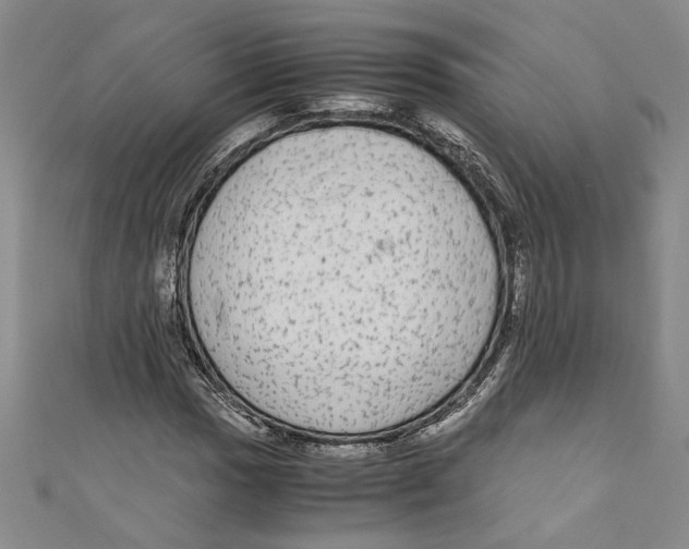 X0000110951017200907171624