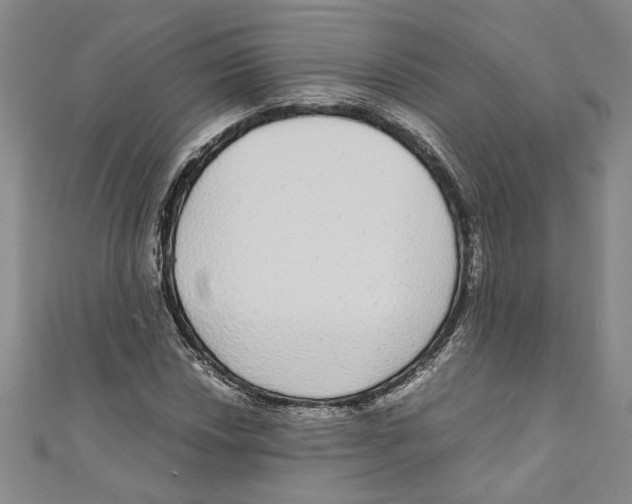 X0000110951018200907171624