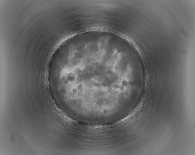X0000110951019200907171624