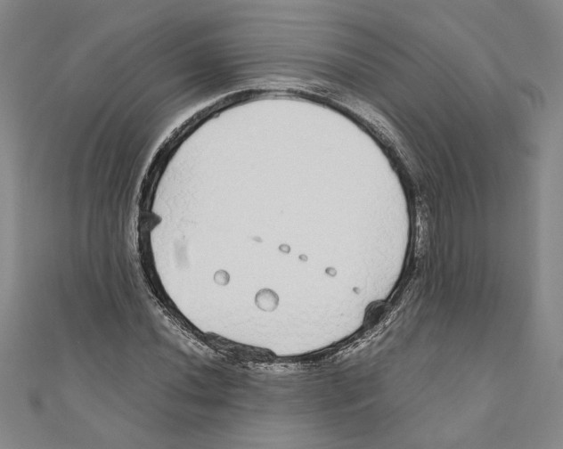 X0000110951020200907171624
